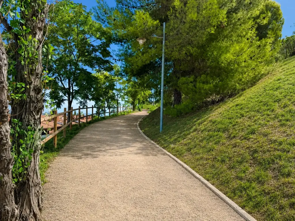 Camino entre vegetación en el entorno de la comunidad